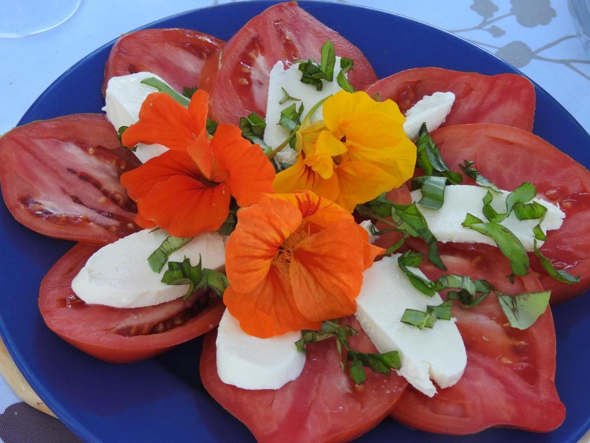La Dame Fines Bed and Breakfast Puybegon Exterior foto